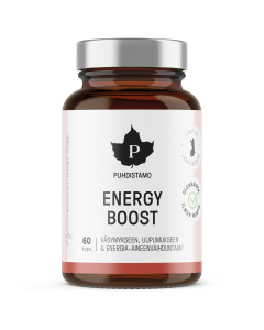 Puhdistamo EnergyBoost 60 kaps